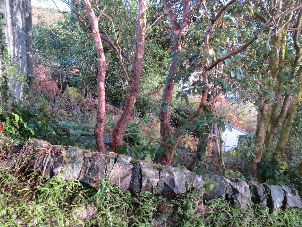 Elmbank Garden Apartment Oban Ruang foto